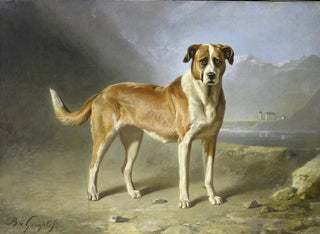 psa Saint-Bernard - Bernard te Gempt — widok dzieła