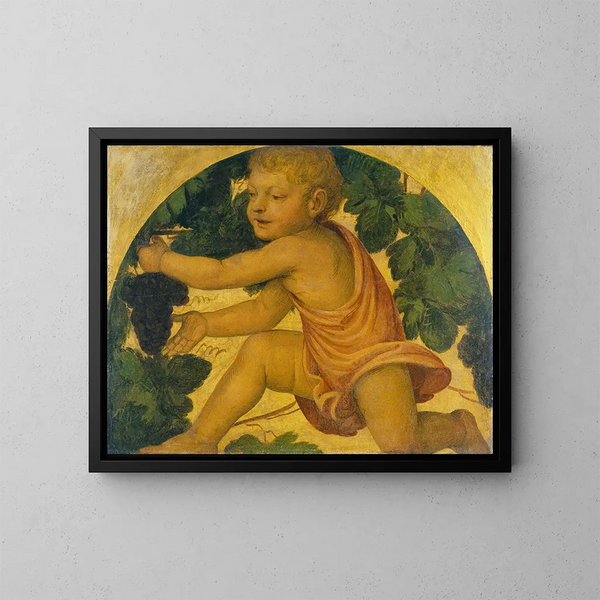 Putto cueillant des raisins - Bernardino Luini — oprawiony obraz na ścianie