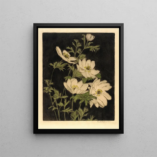 Bertha Jaques - Anemones.webp