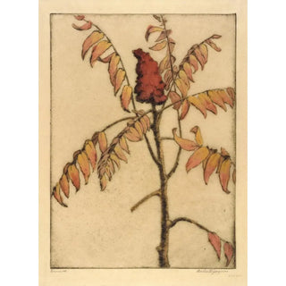 Bertha Jaques - Sumac.webp