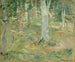 Fort de Compiègne - Berthe Morisot — widok dzieła