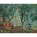 Reprodukcja obrazu Drzewo oliwne w ogrodzie Moreno - Claude Monet