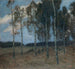Bosquet de Bouleaux po zachodzie słońca - Ester Almqvist — widok dzieła