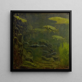 Brochet et perche dans un aquarium - Gerrit Willem Dijsselhof