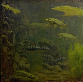Brochet et perche dans un aquarium - Gerrit Willem Dijsselhof