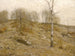 Hauts de décembre - Bruce Crane — widok dzieła