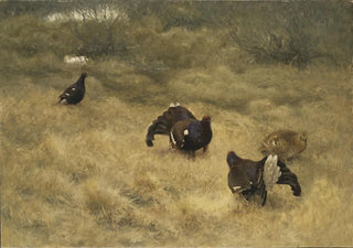 Bruno Liljefors - Blackgame in Springtime.webp