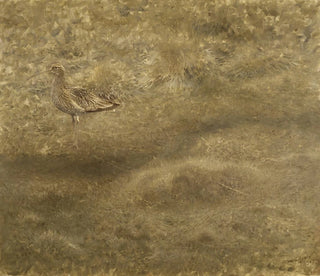 Bruno Liljefors - Eurasian Curlew.webp