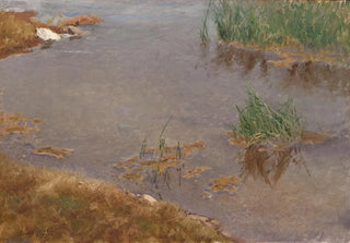 Bruno Liljefors - Shallow Water.webp