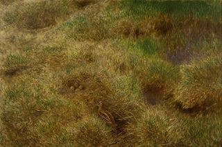 Bruno Liljefors - Snipes Nest.webp