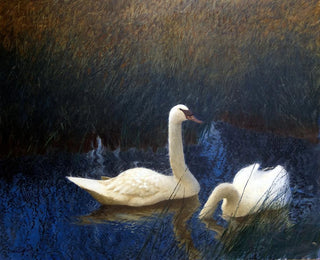 Bruno Liljefors - Swans in Reeds.webp