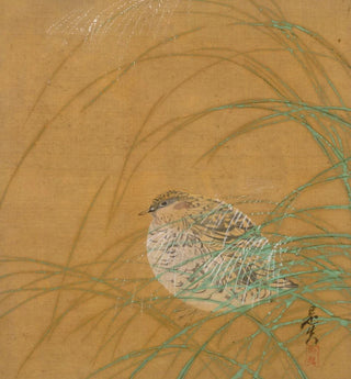 Caille dans l'herbe - Shibata Zeshin