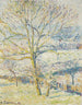 Le Grand Noyer gelé blanc Éragny - Camille Pissarro — widok dzieła