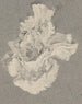 Azalia - Carel Adolph Lion Cachet — widok dzieła