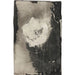 Reprodukcja obrazu Fleur - Carel Adolph Lion Cachet