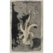 Reprodukcja obrazu Fleur orchidée 1874 1945 - Carel Adolph Lion Cachet