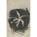 Reprodukcja obrazu Orchidea - Carel Adolph Lion Cachet