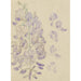 Reprodukcja obrazu Glycine - Carel Adolph Lion Cachet