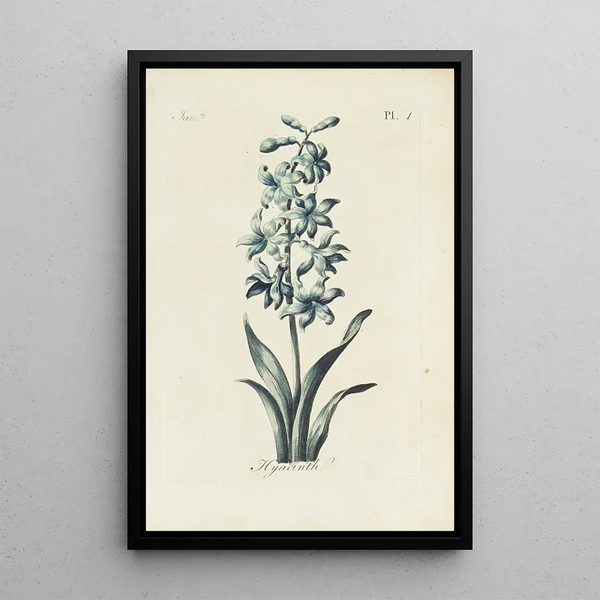 Reprodukcja obrazu Jacinthe - Carington Bowles