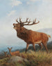Jelen ryczący - Carl Friedrich Deiker — widok dzieła