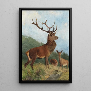 Carl Friedrich Deiker - Platzhirsch.webp