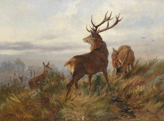 Jeleń we mgle porannej - Carl Friedrich Deiker — widok dzieła