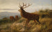 Troupeau de cerfs - Carl Friedrich Deiker — widok dzieła