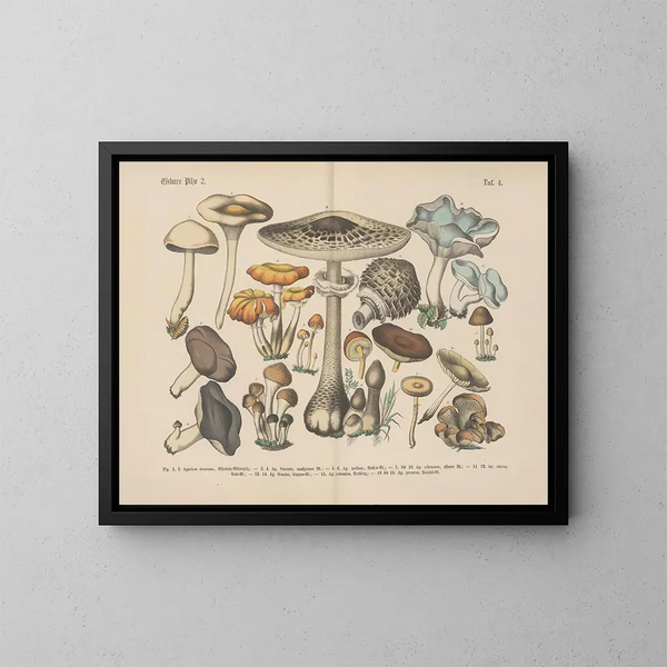 Manuel pratique de botanique en mots et en images Pl04 - Carl Hoffmann — oprawiony obraz na ścianie