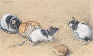 Carl Reichert - Muse.webp