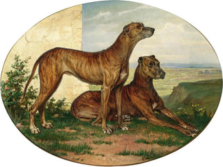 Carl Reichert - Two Great Danes in a Vast Landscape.webp