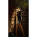 Reprodukcja obrazu Le rat de bibliothèque - Carl Spitzweg