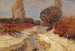 Donauau - Carl Weiss — widok dzieła
