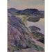 La route de Bgevik - Carl Wilhelmson — widok dzieła