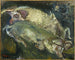 Świnie - Chaïm Soutine — widok dzieła