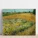 Reprodukcja obrazu Pole pszenicy - Vincent van Gogh