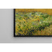 Reprodukcja obrazu Pole pszenicy - Vincent van Gogh