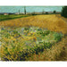 Reprodukcja obrazu Pole pszenicy - Vincent van Gogh