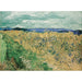 Reprodukcja obrazu Pole pszenicy z chabrami - Vincent van Gogh