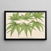 Acer palmatum reticulatum - Charles Antoine Lemaire — oprawiony obraz na ścianie
