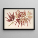 Acer polymorphum palmatum - Charles Antoine Lemaire — oprawiony obraz na ścianie