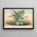 Agave Verschaffelti - Charles Antoine Lemaire — oprawiony obraz na ścianie