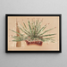 Agave schidigera - Charles Antoine Lemaire — oprawiony obraz na ścianie