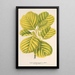 Reprodukcja obrazu Alnus glutinosa var aurea - Charles Antoine Lemaire