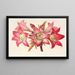 Amaryllis Belladonna - Charles Antoine Lemaire — oprawiony obraz na ścianie