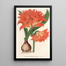 Amaryllis Hippeastrum Alberti - Charles Antoine Lemaire — oprawiony obraz na ścianie