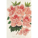 Azalea indica - Charles Antoine Lemaire — widok dzieła