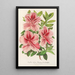 Reprodukcja obrazu Azalea indica hybrida Madame Verschaffelt - Charles Antoine Lemaire
