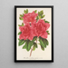 Azalea indica hybrida Madame Wagner - Charles Antoine Lemaire — oprawiony obraz na ścianie
