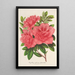 Azalea indica hybrida William Bull - Charles Antoine Lemaire — oprawiony obraz na ścianie