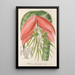 Reprodukcja obrazu Billbergia Baraquiniana - Charles Antoine Lemaire
